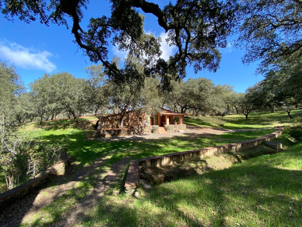 Valle Del Arroyo Casas Rurales - B&B - Solo Adultos Cortelazor Exterior foto